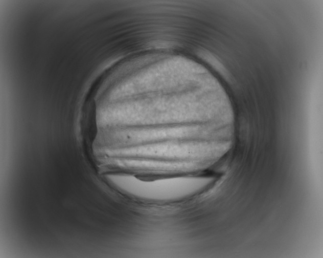 X0000088741026200706282140