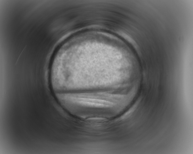 X0000088741029200706282140