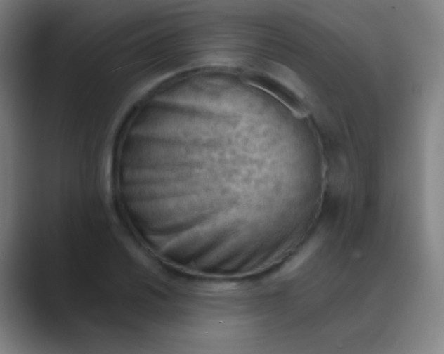 X0000088741030200706282140