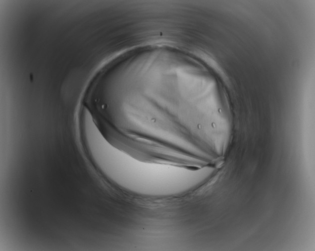 X0000088741032200706282140