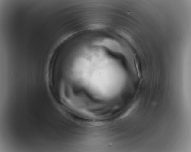 X0000088741034200706282140