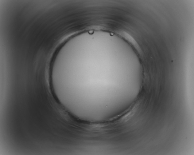 X0000088741035200706282140