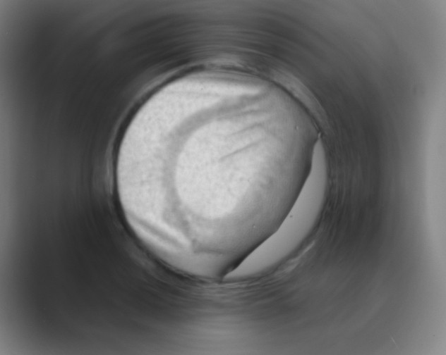 X0000088741036200706282140
