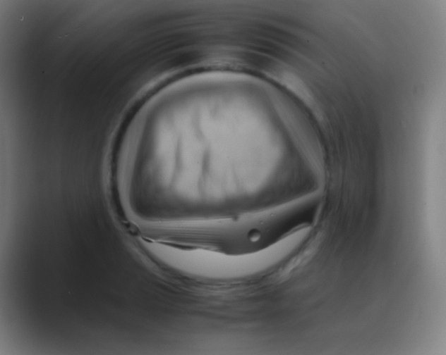 X0000088741037200706282140