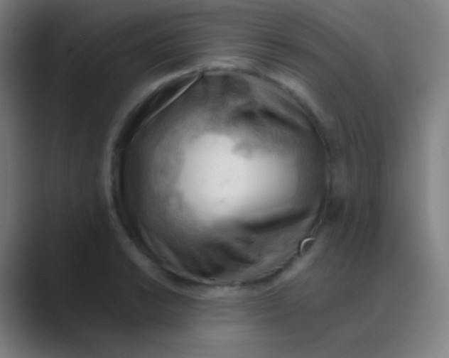 X0000088741038200706282140