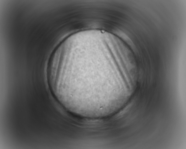 X0000088741039200706282140