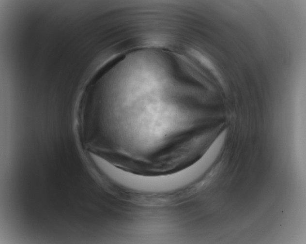 X0000088741042200706282140