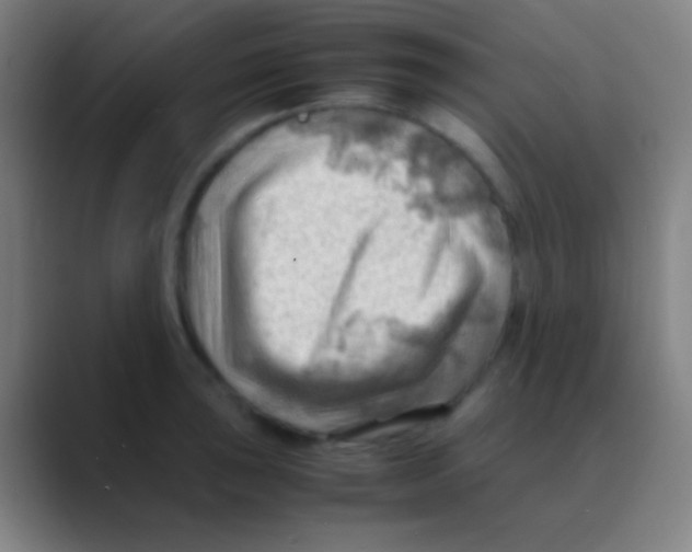 X0000088741043200706282140