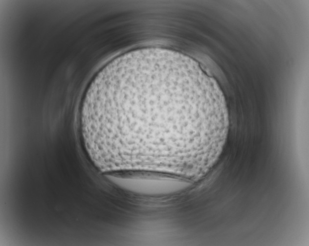 X0000088741044200706282140