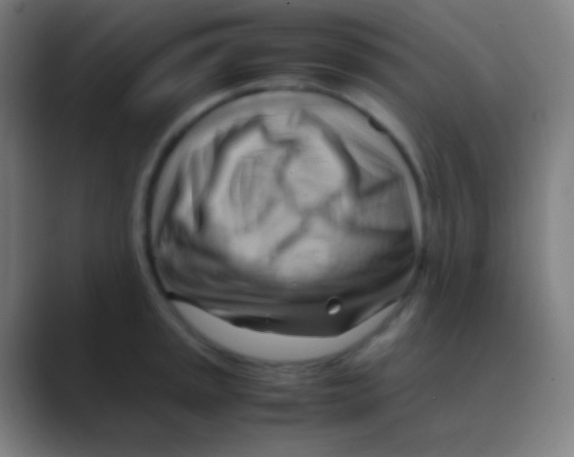 X0000088741045200706282140
