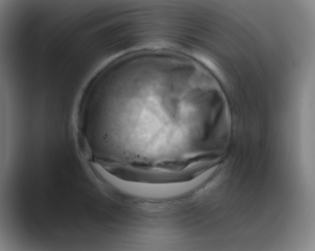 X0000088741046200706282140