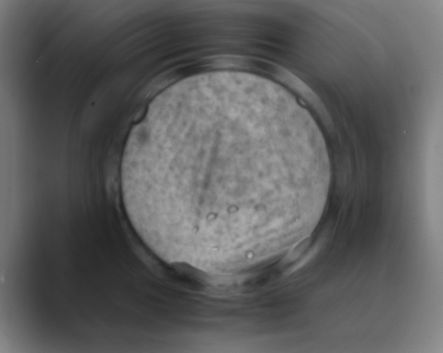 X0000088741049200706282140