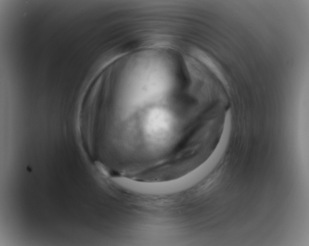 X0000088741050200706282140