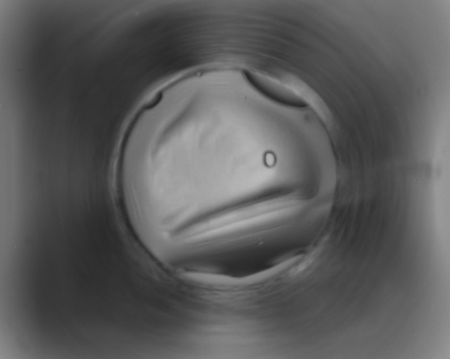 X0000088741052200706282140