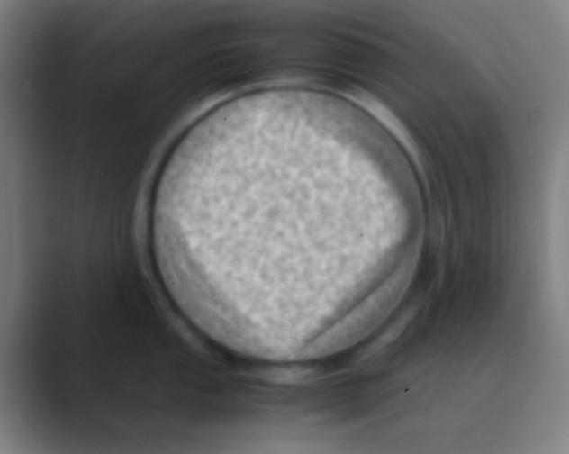 X0000088741053200706282140