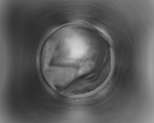 X0000088741054200706282140