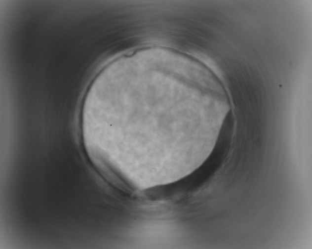 X0000088741056200706282140