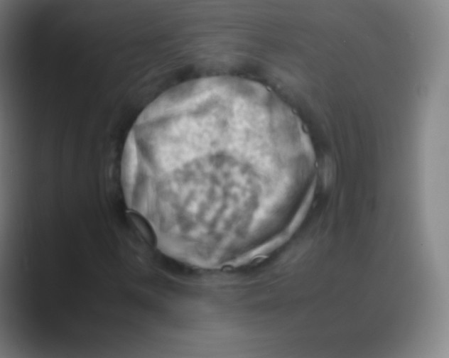 X0000088741059200706282139