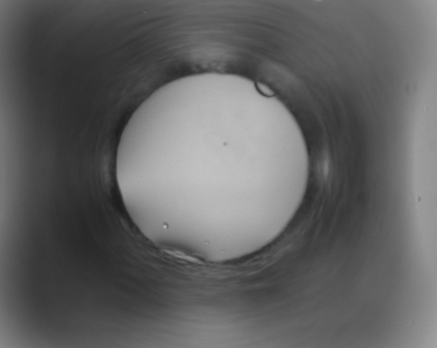 X0000088741060200706282139