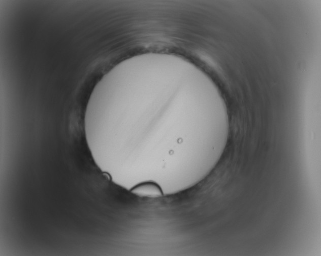 X0000088741063200706282139
