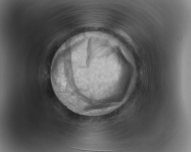 X0000088741064200706282139