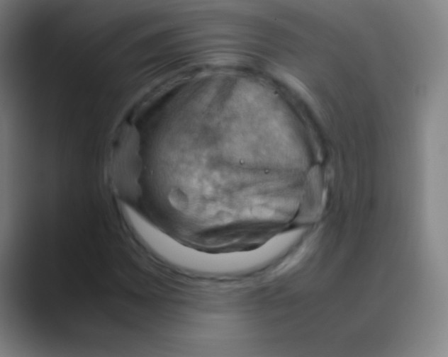 X0000088741065200706282139