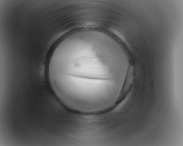 X0000088741066200706282139