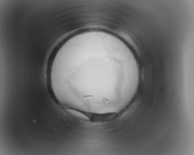 X0000088741068200706282139