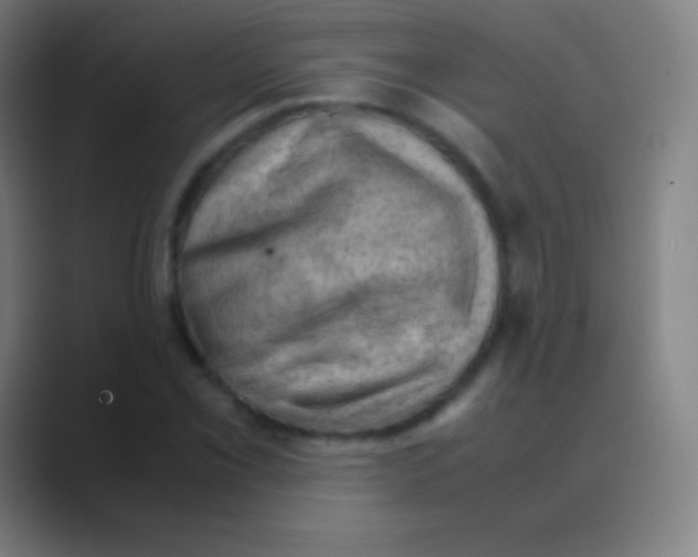 X0000088741069200706282139