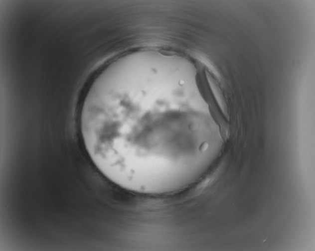 X0000088741071200706282139