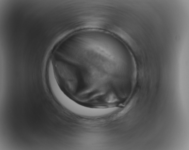 X0000088741077200706282139