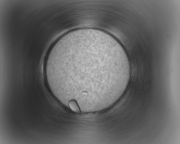 X0000088741078200706282139