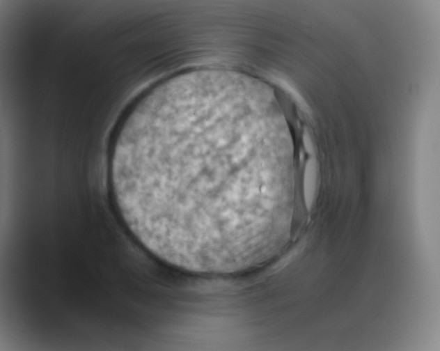 X0000088741079200706282139