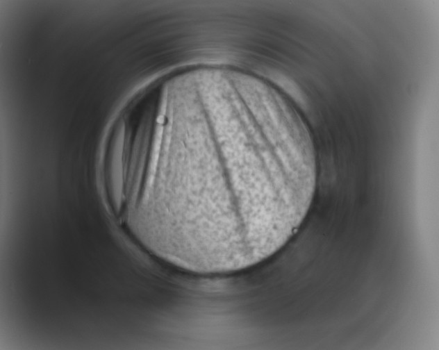 X0000088741080200706282139