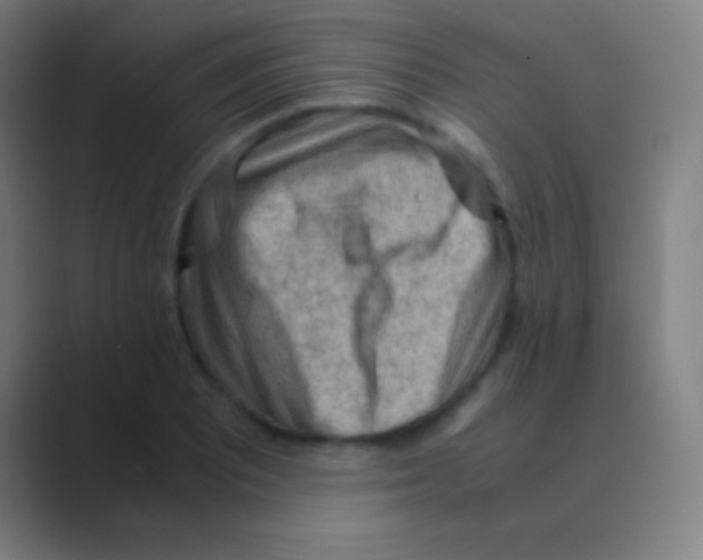 X0000088741081200706282139