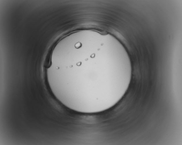 X0000088741082200706282139