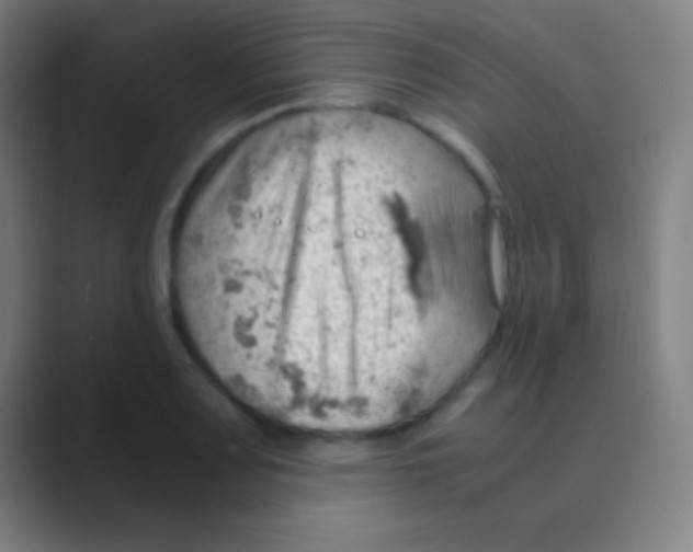X0000088741083200706282139