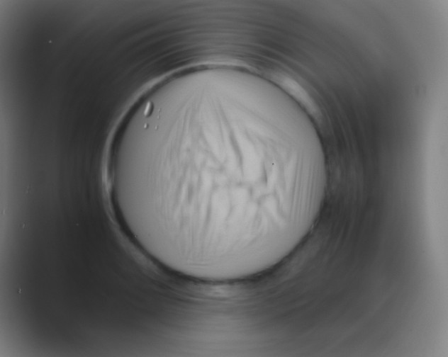 X0000088741084200706282139
