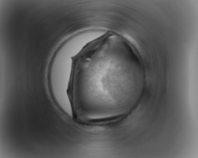 X0000088741085200706282139