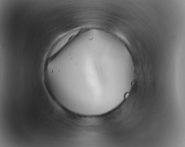 X0000088741087200706282139