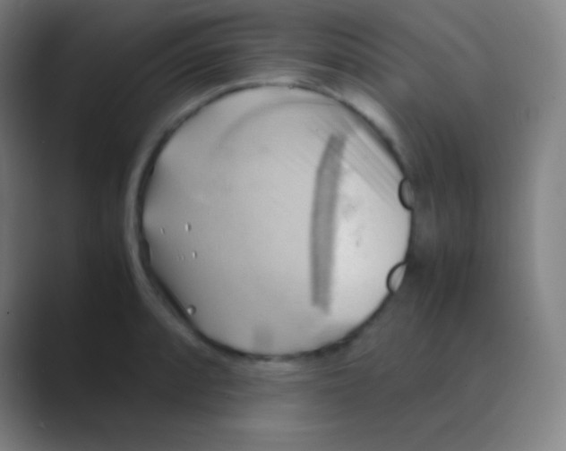 X0000088741088200706282139
