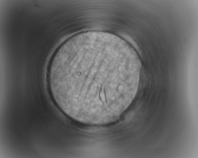 X0000088741091200706282139