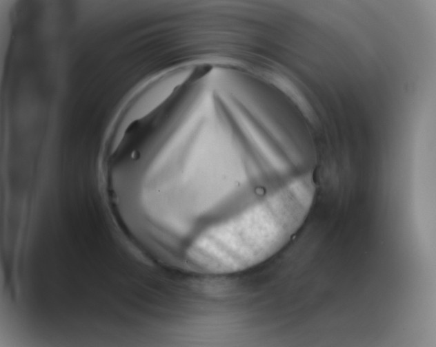 X0000088741092200706282139