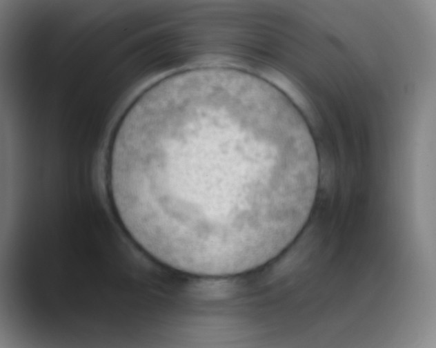 X0000088741094200706282139