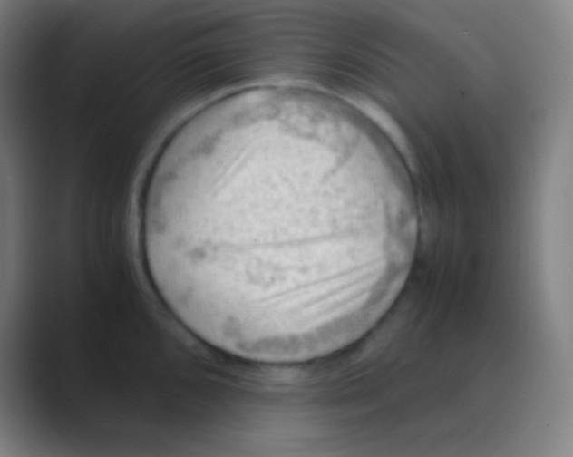 X0000088741096200706282139