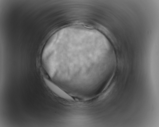 X0000088741097200706282139