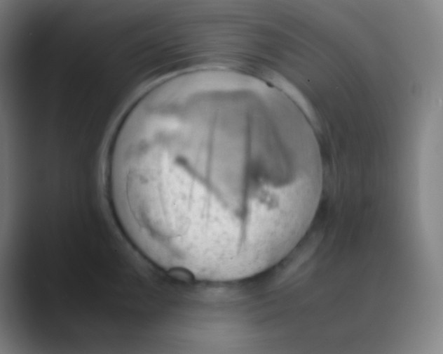 X0000088741099200706282139