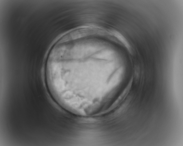 X0000088741100200706282139