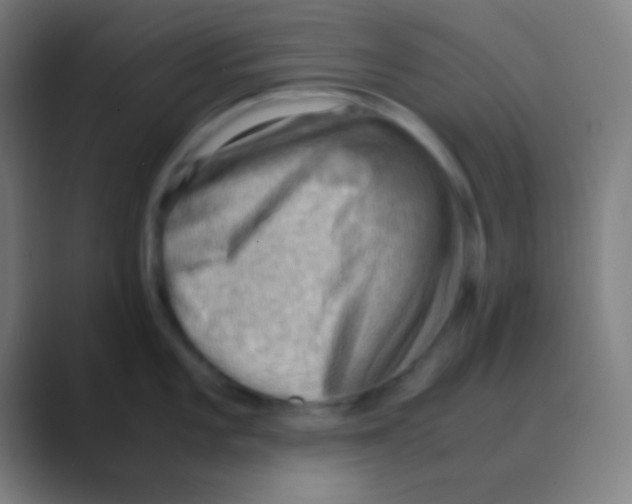 X0000088741101200706282139