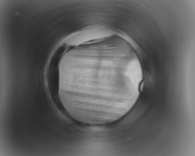 X0000088741102200706282139